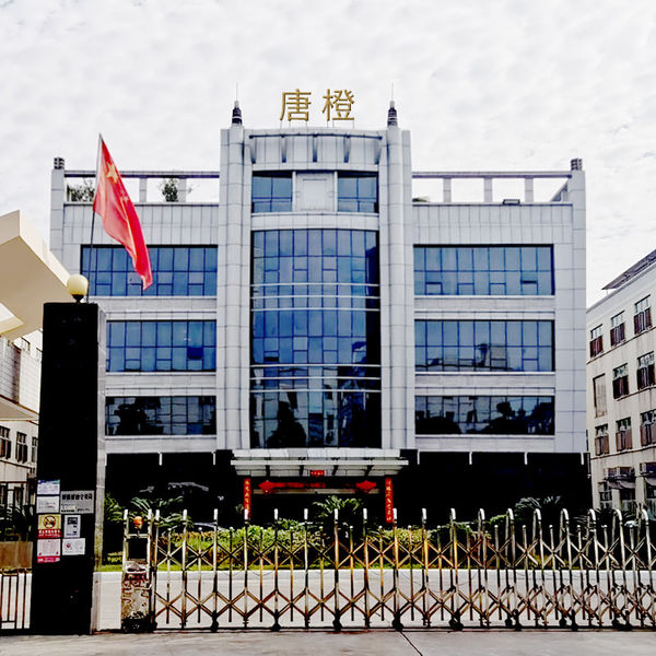 China Guangzhou Tangcheng Technology Co., Ltd. Bedrijfsprofiel